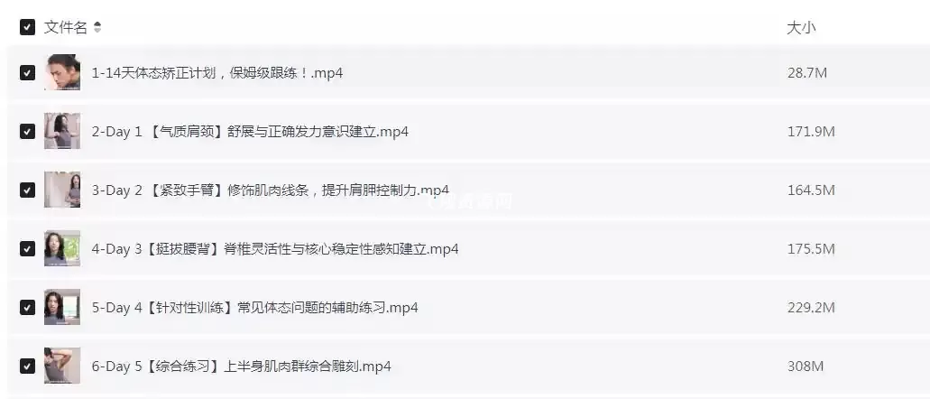 范李猿14天体态矫正计划上身篇视频课程（完结）